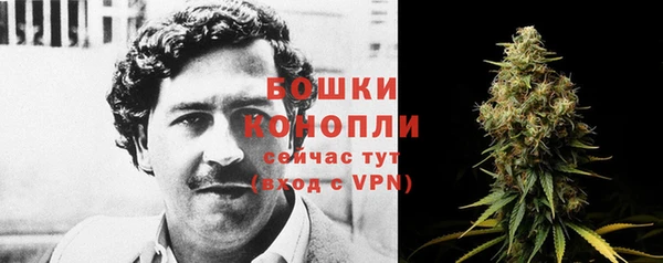 мяу мяу мука Новозыбков