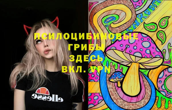 мдпв Кинешма